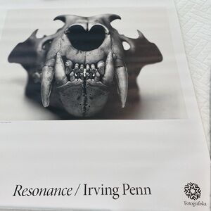 FOTOGRAFISKA Resonance / Irving Penn Lion (Front View) 1986 Poster ~20 x 28